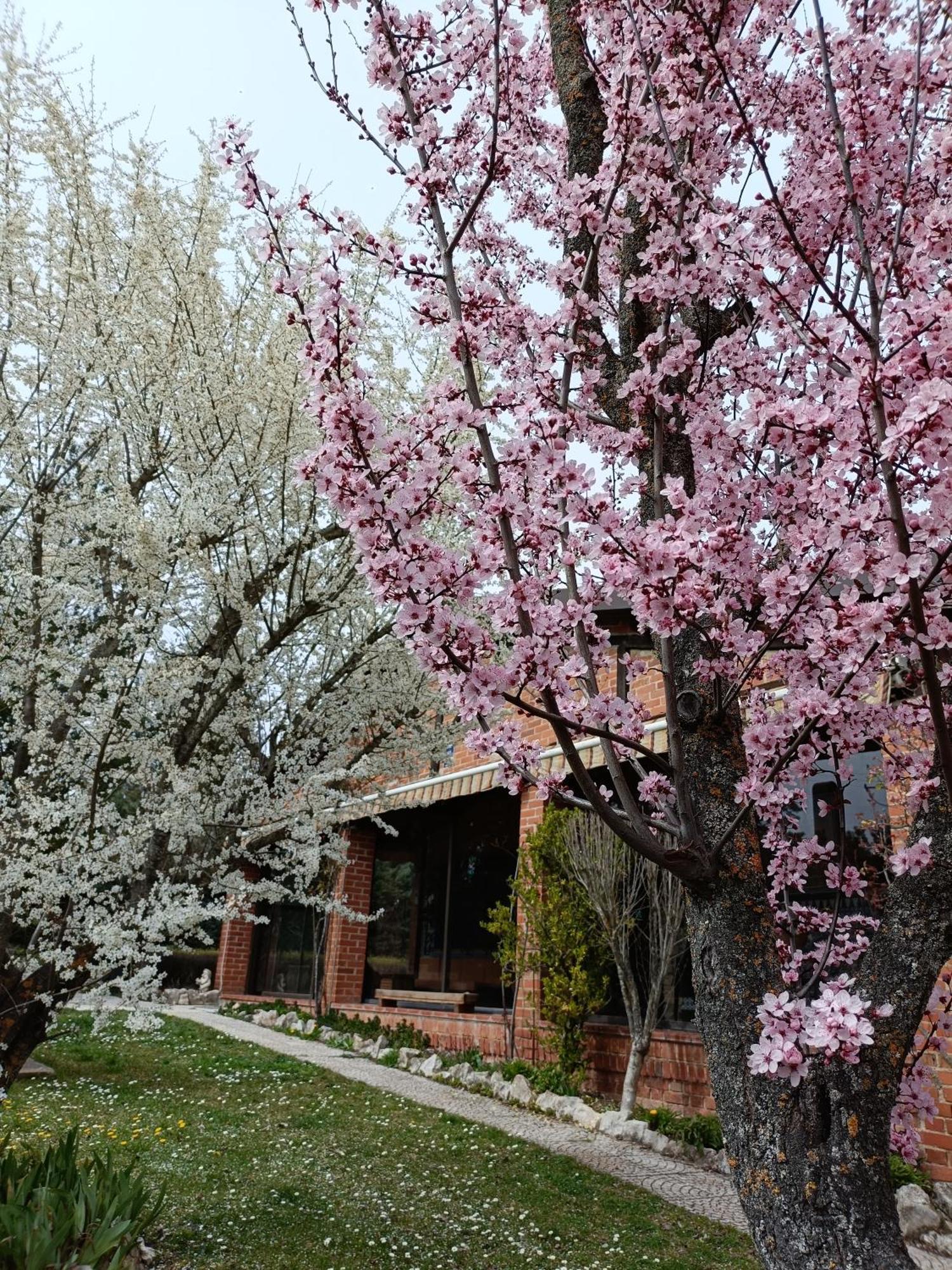 Finca Paraíso Rural El Burgo De Osma Quarto foto
